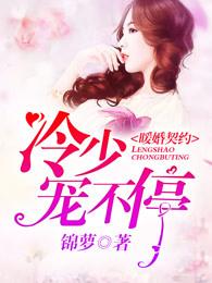 暖婚契约:冷少,宠不停